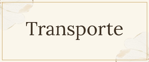 Transporte